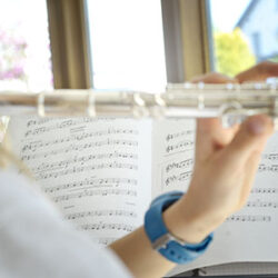 flute